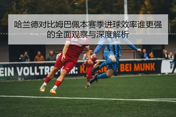 img_1782148681068_1_1_228.jpg