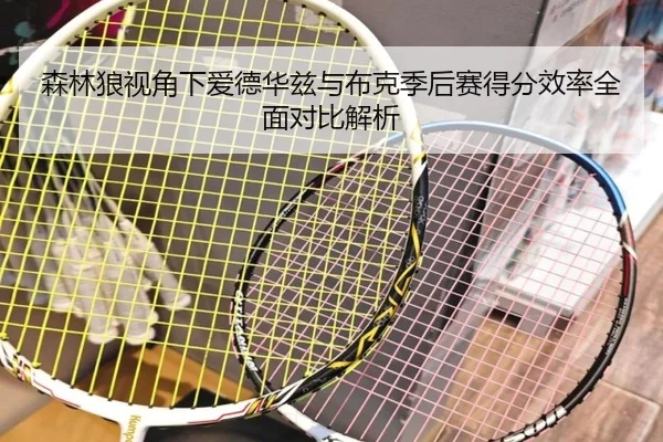 森林狼视角下爱德华兹与布克季后赛得分效率全面对比解析